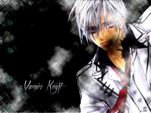 Картинка аниме vampire knight