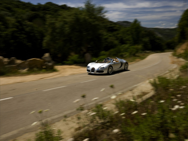 Обои картинки фото 2010, bugatti, veyron, 16, автомобили