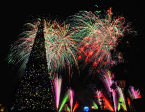 Картинка праздничные Ёлки штат флорида фейерверк зрелище шоу новый год америка