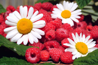 обоя еда, малина, лето, ягоды, цветы