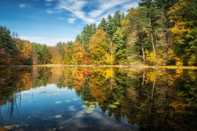 Обои картинки фото norfolk, connecticut, природа, реки, озера, лес, озеро, деревья, отражение, осень