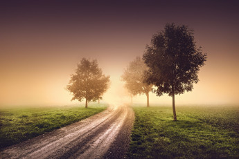 обоя природа, дороги, утро, туман, дымка, деревья, дорога