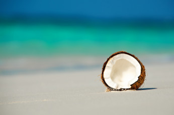 обоя еда, кокос, мальдивы, океан, орех, пляж