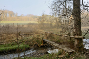 Картинка природа дороги лес река мостик