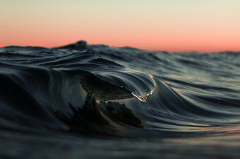 Картинка природа вода море океан волна