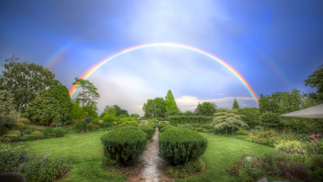 Картинка природа радуга небо деревья кусты дорожка аллея парк