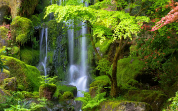 Картинка природа водопады деревья зелень мох камни поток водопад