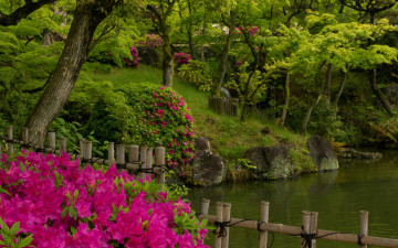 Картинка природа парк азалия рододендрон деревья пруд вода кобе Япония сад