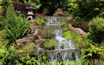 Картинка природа водопады великобритания mount pleasant garden kelsall сад зелень ручей водопад