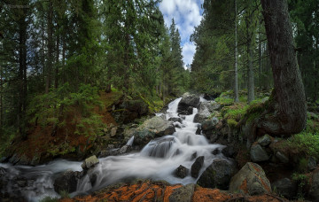 Картинка природа водопады поток камни лес
