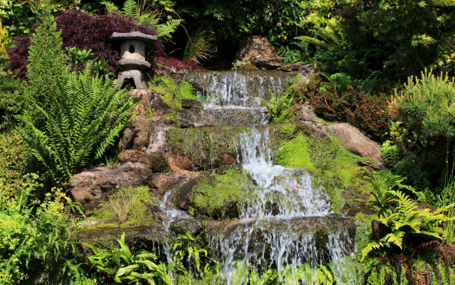 Обои картинки фото природа, водопады, великобритания, mount, pleasant, garden, kelsall, сад, зелень, ручей, водопад