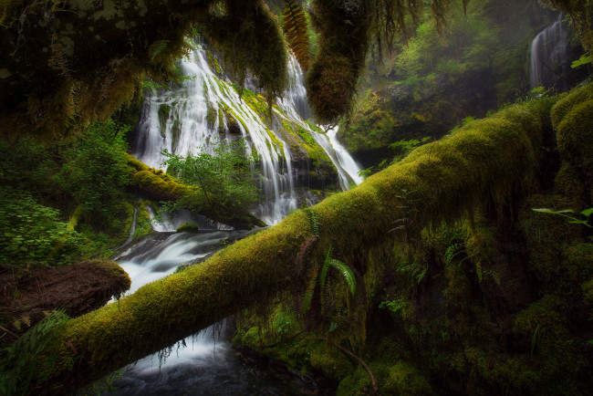 Обои картинки фото природа, водопады, лес, деревья, река, водопад, потоки