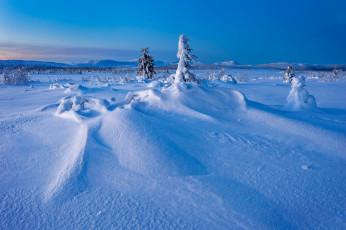 Картинка природа зима деревья сугробы снег лапландия швеция