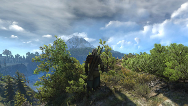 Обои картинки фото видео игры, the witcher 3,  wild hunt, персонаж