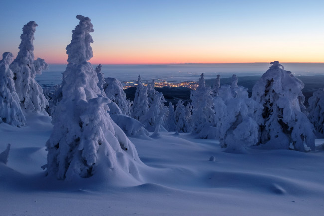 Обои картинки фото природа, зима, деревья, сугробы, снег, рассвет, панорама, утро, германия, саксония-анхальт, горы, гарц