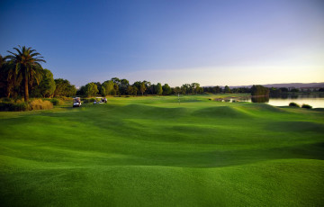 Картинка спорт гольф деревья трава газон пальмы поле зелень озеро пейзаж