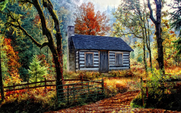 Картинка природа лес дорога деревья дом осень