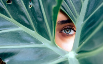Картинка разное глаза девушка лист глаз