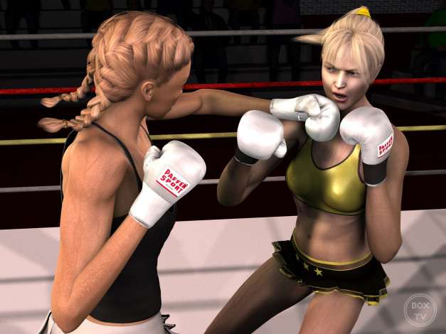 Обои картинки фото 3д графика, спорт , sport, ринг, девушки, взгляд, фон, бокс