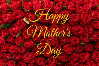 обоя праздничные, день матери, алые, розы, много, надпись