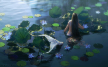 Картинка фэнтези русалки русалка озеро кувшинки