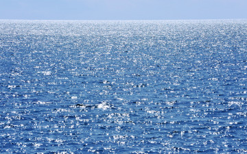 Картинка природа моря океаны