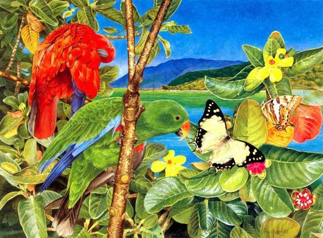 Обои картинки фото тони, оливер, рисованные, tony, oliver, бабочки, цветы, тропики, попугаи
