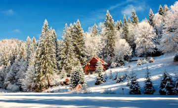 Картинка природа зима лес небо снег