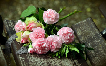 Картинка цветы разные+вместе гвоздики розы розовый