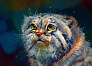 Картинка рисованное животные фон кот манул