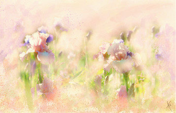 Картинка рисованное цветы ирисы рисованные живопись мазки цифровая пастельные тона рисунок имитация акварели нарисованные картина нежно