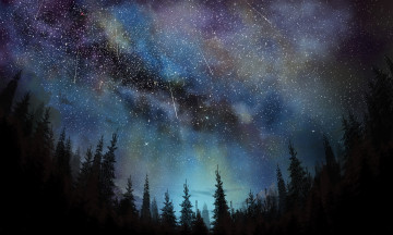 Картинка рисованное природа tea taster звездопад ночь небо ели