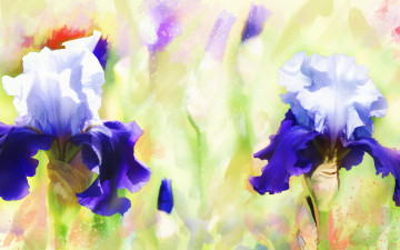 Картинка рисованное цветы художественная графика арт обработка картина ирисы фиолетовые рисованные живопись мазки лепестки цифровая рисунок имитация акварели нарисованные