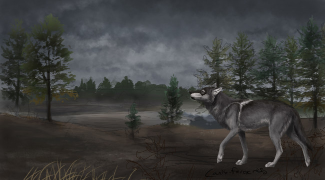 Обои картинки фото рисованное, животные,  волки, фон, волк
