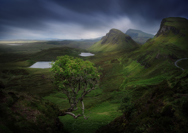 Обои картинки фото природа, горы, камни, шотландия, гора, скалы, дерево, остров, скай