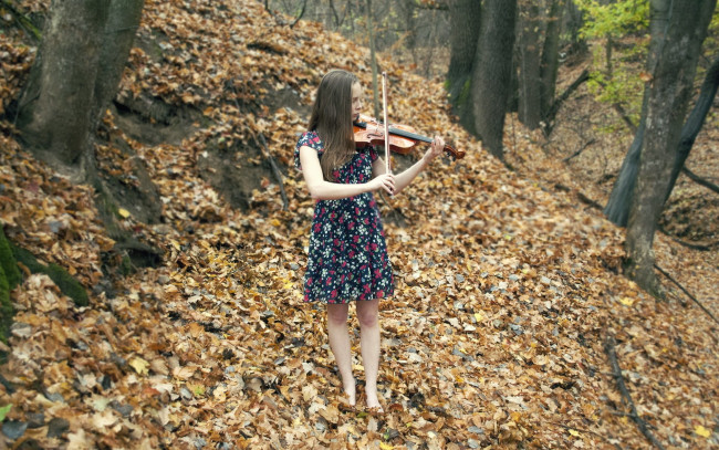 Обои картинки фото музыка, -другое, природа, листва, скрипка, девушка