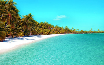 Картинка природа тропики пальмы пляж море