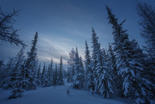 Обои картинки фото природа, зима, ямал, россия