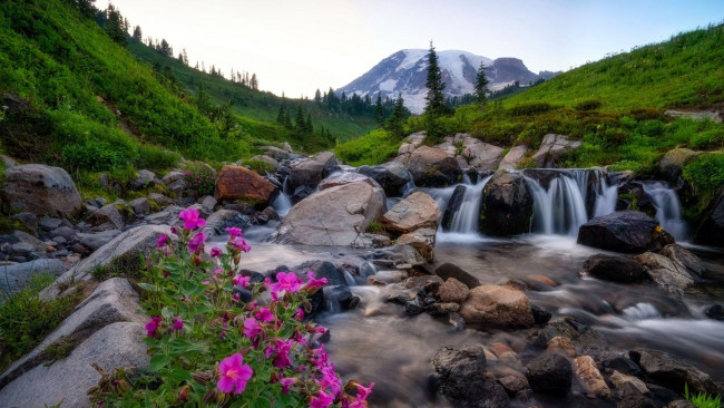 Обои картинки фото природа, водопады, гора, камни, водопад, цветы