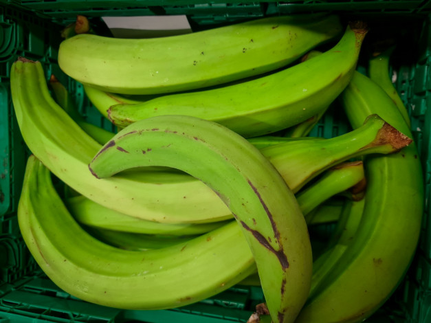 Обои картинки фото еда, бананы, зеленые