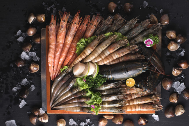 Обои картинки фото еда, рыба,  морепродукты,  суши,  роллы, креветки, ассорти