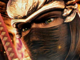 Картинка ninja gaiden видео игры