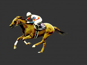 Картинка спорт конный
