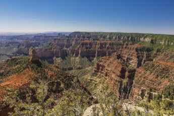 Картинка grand canyon national park arizona природа горы лес