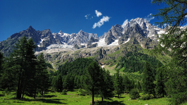 Обои картинки фото mont, blanc, alps, природа, горы, деревья, альпы, монблан