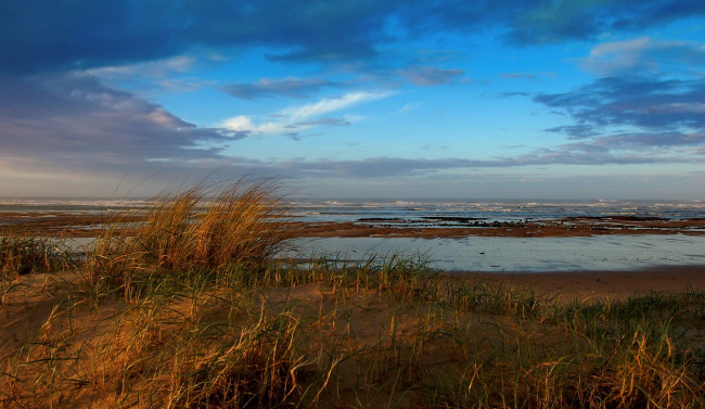 Обои картинки фото природа, побережье, океан, пляж, волны, трава, тучи