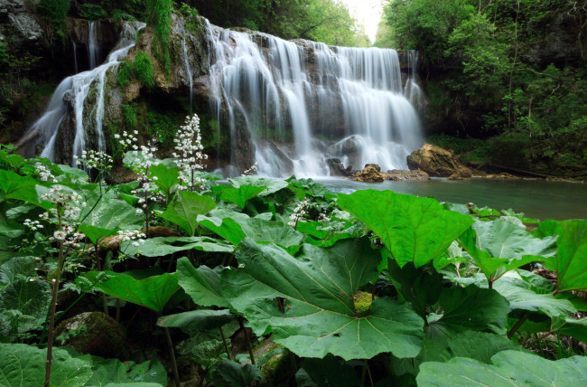 Обои картинки фото природа, водопады, листья, вода