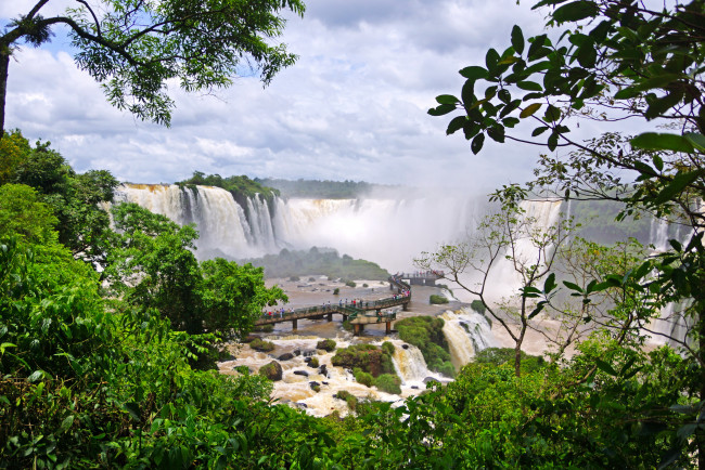 Обои картинки фото бразилия, водопад, iguazu, природа, водопады, брызги, деревья