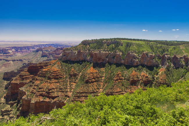 Обои картинки фото grand, canyon, national, park, arizona, природа, горы, лес