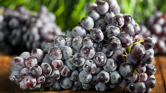 Обои картинки фото еда, виноград, гроздь, капли
